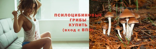 ECSTASY Балабаново