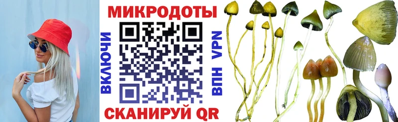 МЕГА вход  Купино  Галлюциногенные грибы Psilocybe 