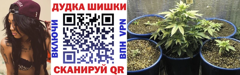 где найти наркотики  Купино  Бошки марихуана семена 